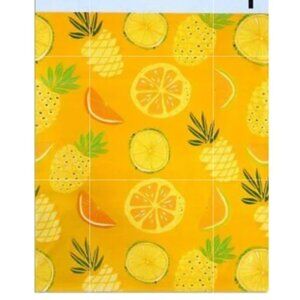 20 10x13 Yellow Citrus designer poly mailer